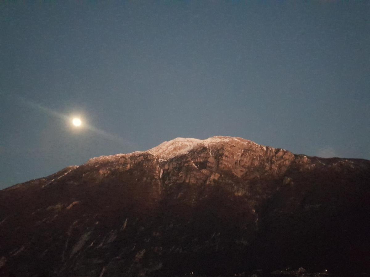 Guesthouse "Villa Tamas" Limone sul Garda Eksteriør billede