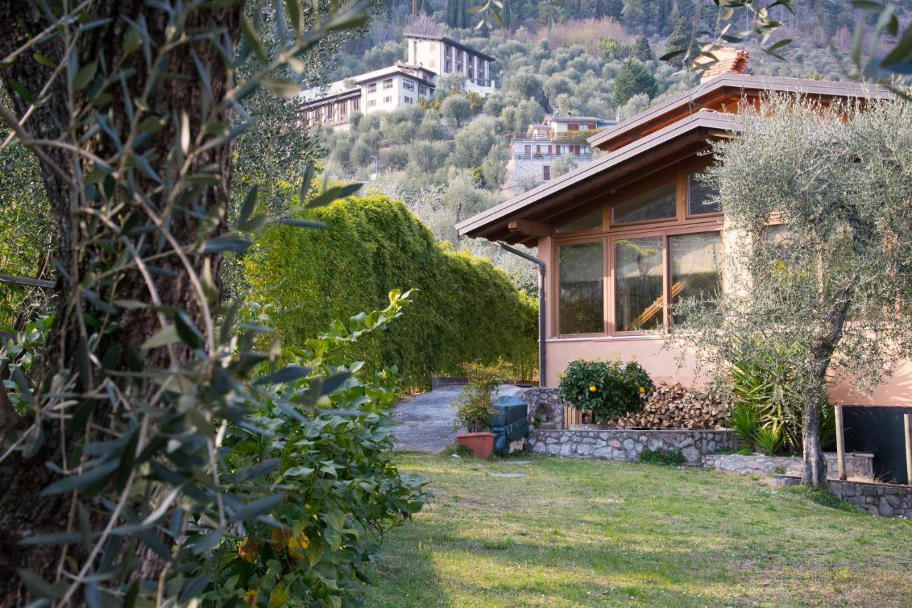 Guesthouse "Villa Tamas" Limone sul Garda Eksteriør billede